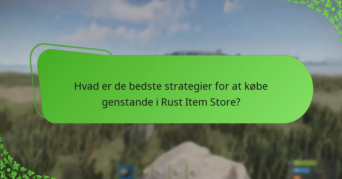 Hvilke kampagnetilbud er i øjeblikket tilgængelige i Rust Item Store?