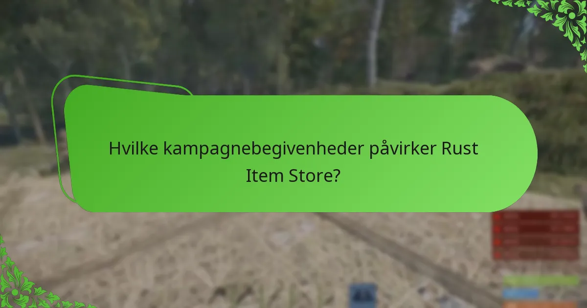 Hvilke betalingsmuligheder er tilgængelige i Rust Item Store?